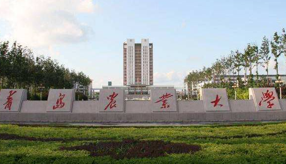 青島農(nóng)業(yè)大學(xué)錄取規(guī)則2023年
