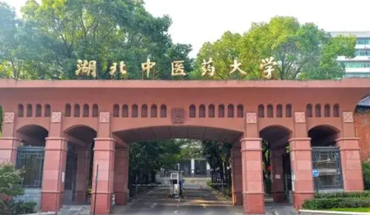 武漢醫(yī)藥類大學(xué)有哪些 武漢醫(yī)藥類大學(xué)名單一覽表