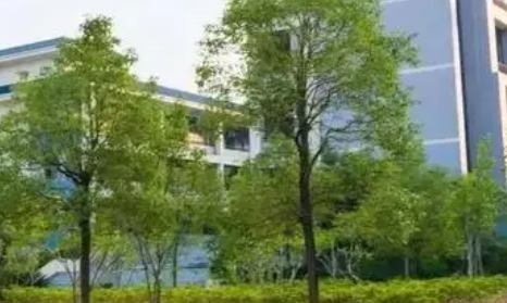 廣東2023年中專學校怎么樣
