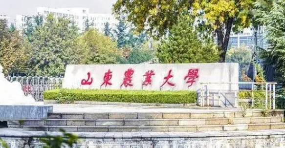 2023山東農(nóng)業(yè)大學(xué)排名全國(guó)第幾名（2024年參考）