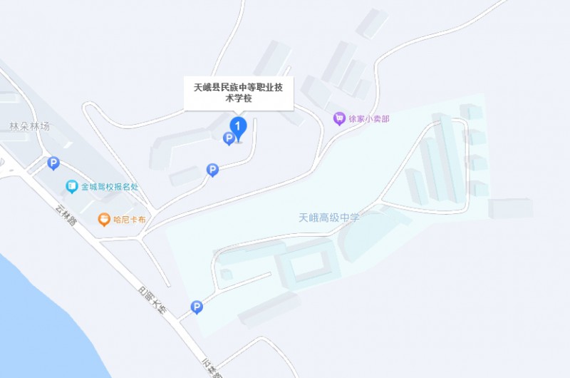 天峨縣民族中等職業(yè)技術學校地址，乘車路線