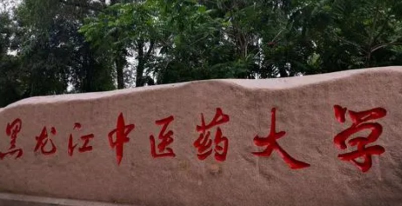 黑龍江中醫(yī)藥大學(xué)是什么樣的大學(xué) 985還是211高校（附王牌特色專業(yè)）