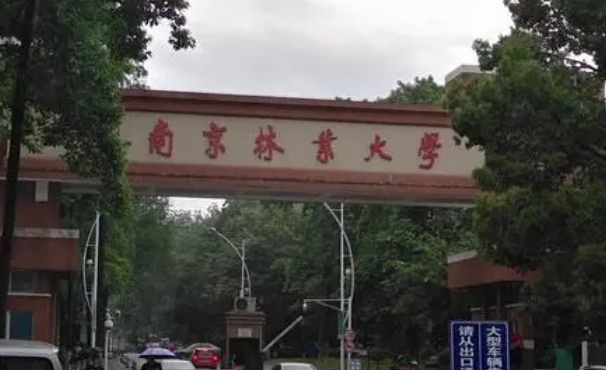 南京林業(yè)大學(xué)是什么樣的大學(xué) 985還是211高校（附王牌特色專(zhuān)業(yè)）