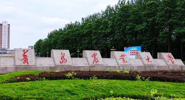 青島農(nóng)業(yè)大學(xué)評(píng)價(jià)怎么樣,學(xué)校好不好