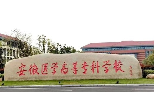 2024安徽醫(yī)學高等?？茖W校專業(yè)排行榜 