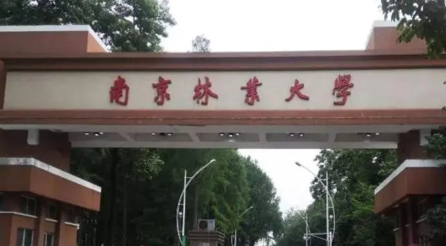 2024南京林業(yè)大學(xué)專業(yè)排行榜 