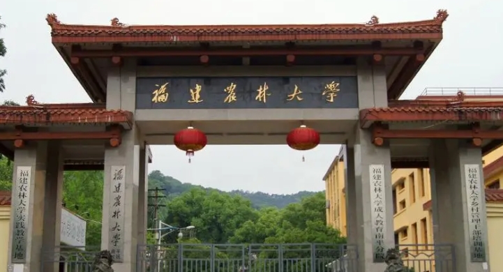 2024福建農(nóng)林大學金山學院專業(yè)排行榜 