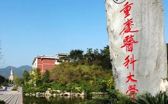 2024重慶醫(yī)科大學(xué)專業(yè)排行榜 