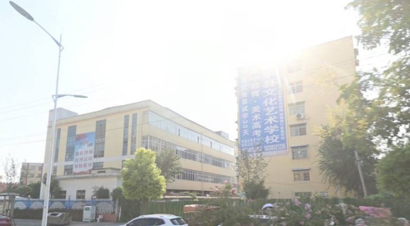 2024鎮(zhèn)平縣文化藝術(shù)學(xué)校招生計(jì)劃 招生人數(shù)是多少(附要求、條件、對(duì)象)