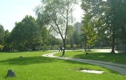 2024年四川高考時(shí)間幾月幾號(hào)？附高考備考建議