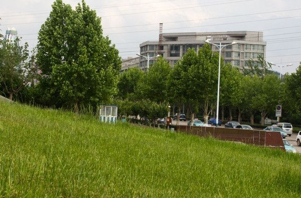 華為最認可大學有哪些？進華為的都是什么大學？