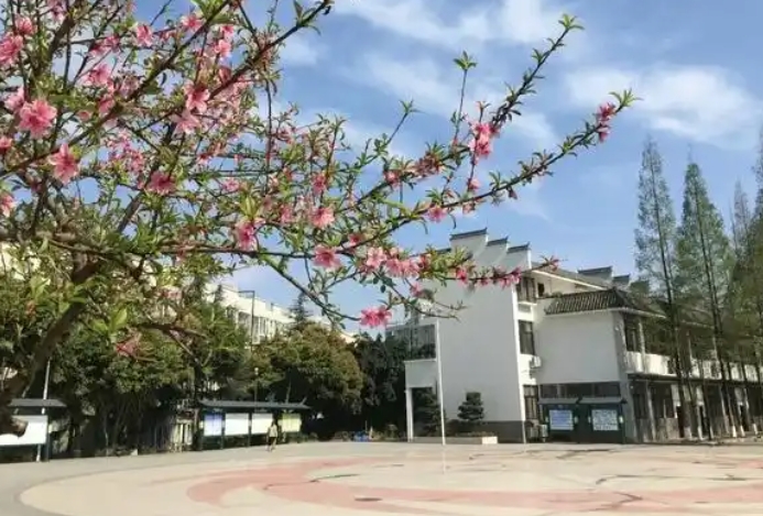 2025龍泉師一招生計劃 招生人數(shù)是多少(附要求、條件、對象)