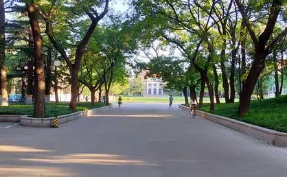青春力量推動文化傳承——鄭信學子從“李子柒回歸”事件熱議中國傳統(tǒng)文化