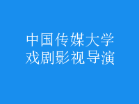 戲劇影視導(dǎo)演