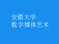 數(shù)字媒體藝術(shù)