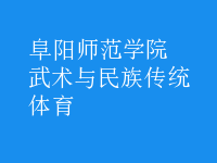 武術與民族傳統(tǒng)體育