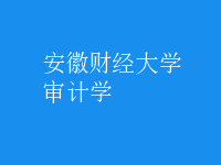 審計學(xué)