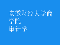 審計學(xué)
