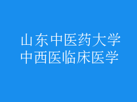 中西醫(yī)臨床醫(yī)學(xué)