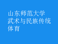 武術與民族傳統(tǒng)體育