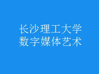 數(shù)字媒體藝術(shù)