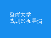 戲劇影視導(dǎo)演