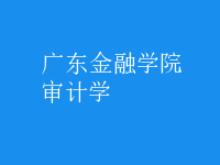 審計(jì)學(xué)