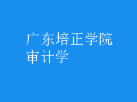 審計(jì)學(xué)