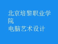 電腦藝術設計