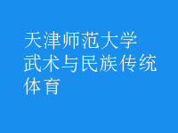 武術與民族傳統(tǒng)體育