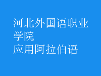 應(yīng)用阿拉伯語