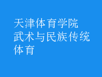 武術與民族傳統(tǒng)體育