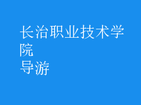 導(dǎo)游