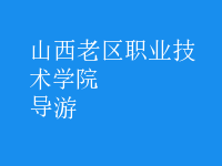 導(dǎo)游