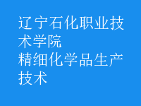 精細化學品生產(chǎn)技術