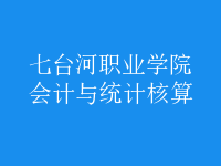 會計與統(tǒng)計核算