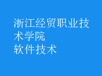 軟件技術(shù)