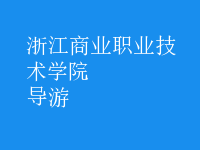 導(dǎo)游