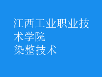 染整技術(shù)