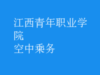 空中乘務(wù)