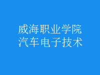 汽車電子技術(shù)