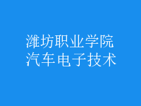 汽車電子技術(shù)