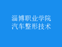 汽車(chē)整形技術(shù)