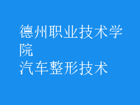 汽車(chē)整形技術(shù)