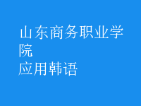 應(yīng)用韓語