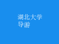 導(dǎo)游