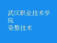 染整技術(shù)