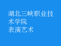 表演藝術(shù)