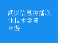 導(dǎo)游