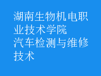 汽車檢測與維修技術(shù)